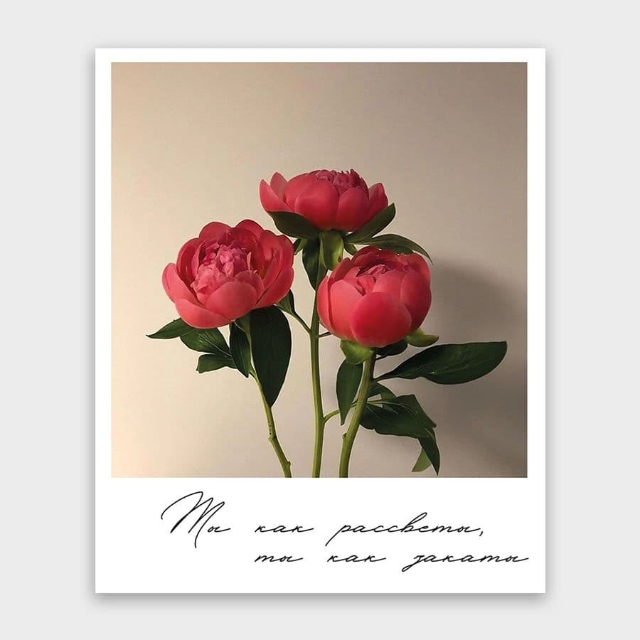 Открытка-фотокарточка «Ты как рассветы, ты как закаты!»