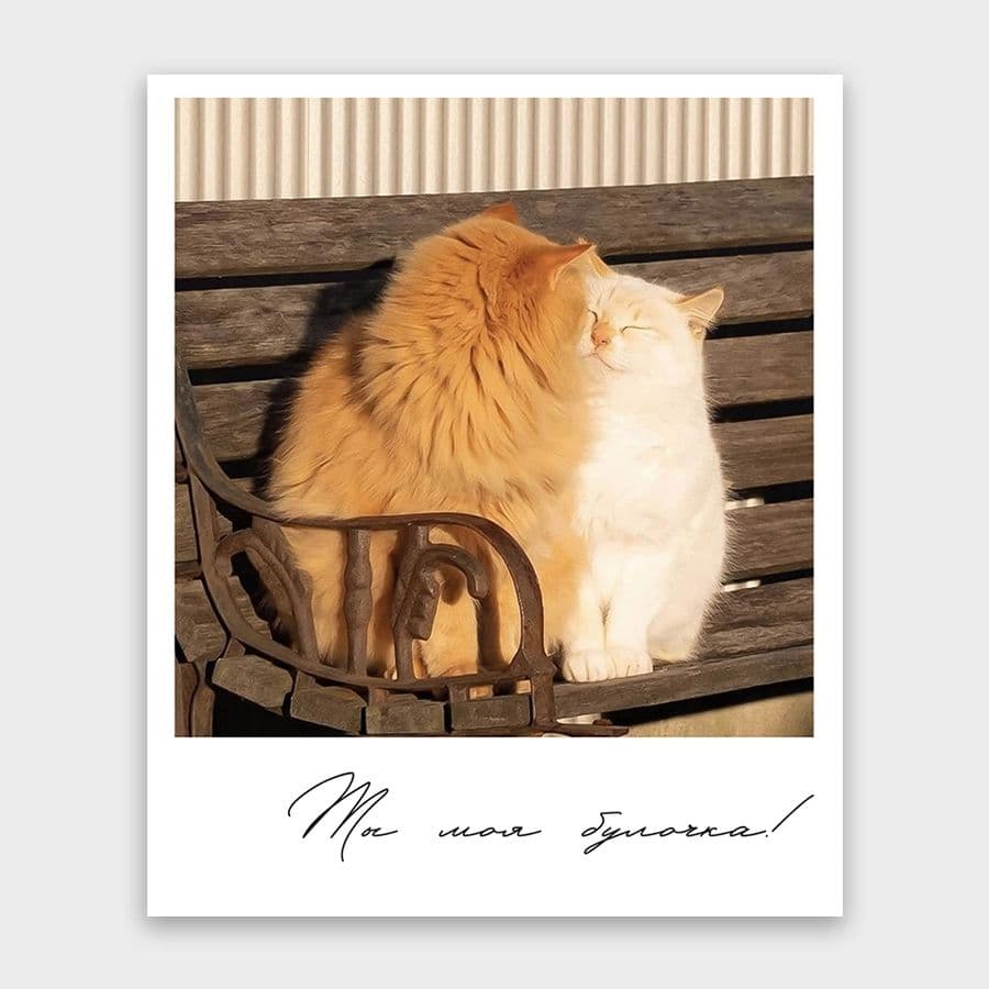 Открытка-фотокарточка «Ты моя булочка!»