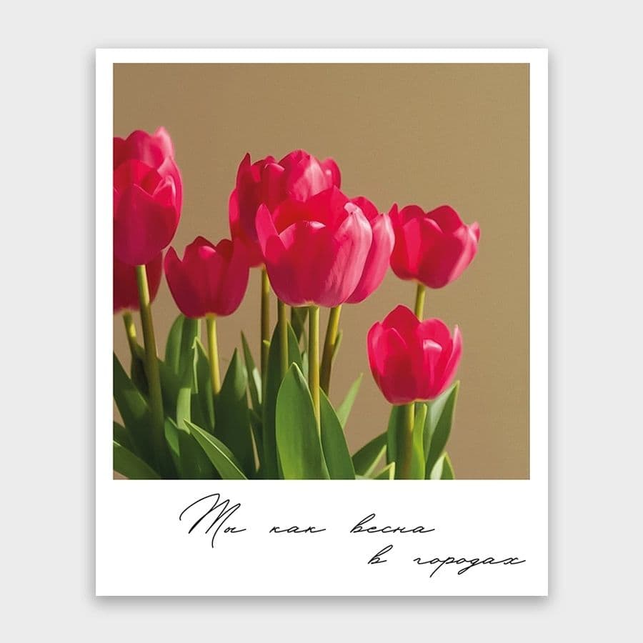 Открытка-фотокарточка «Ты как весна в городах»