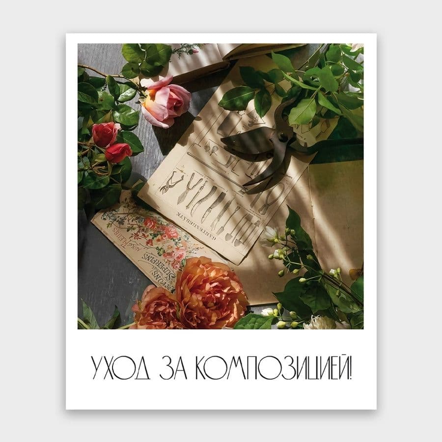 Открытка-фотокарточка «Уход за композицией»