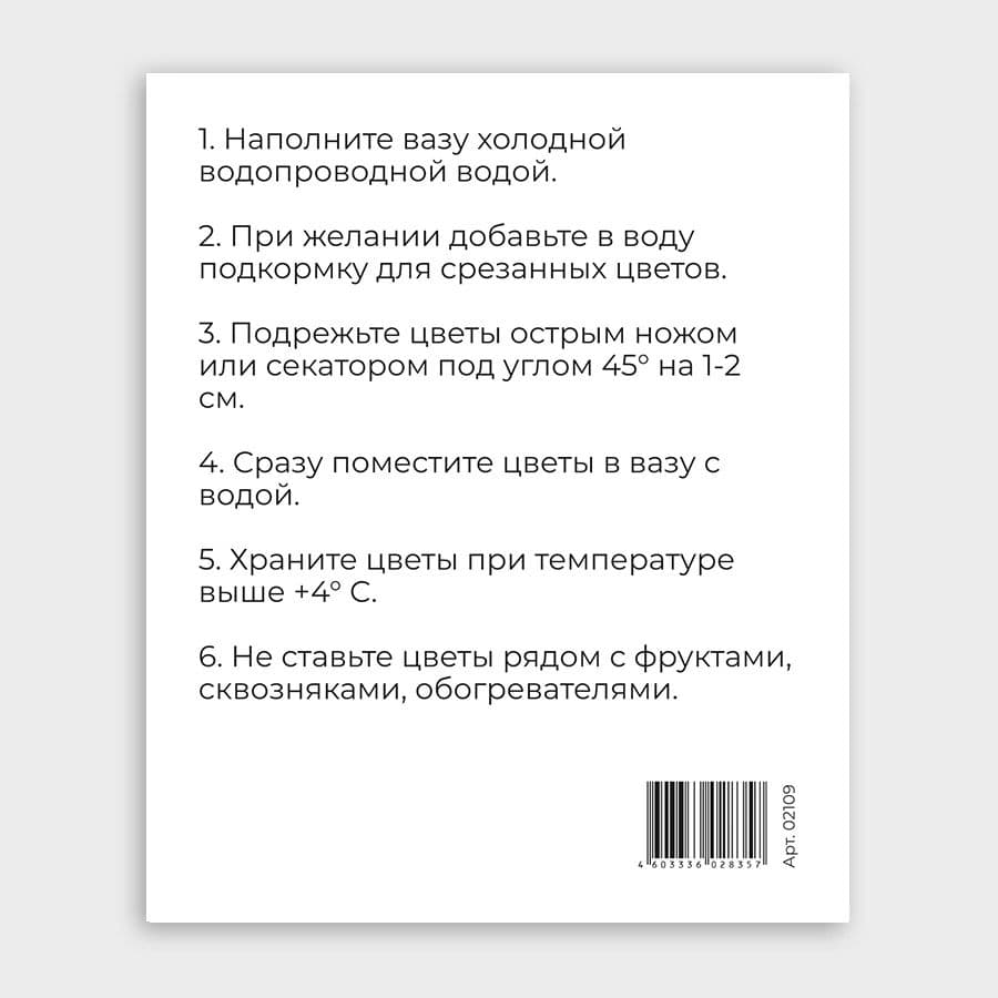 Открытка-фотокарточка «Уход за композицией»