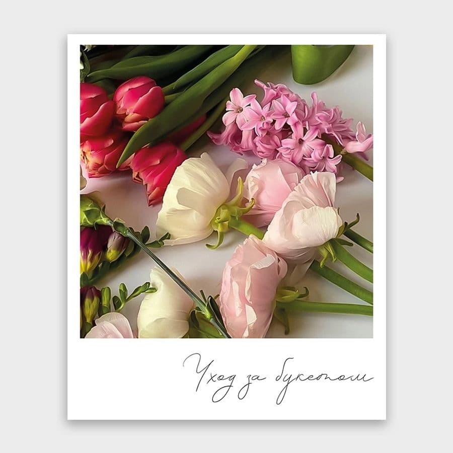 Открытка-фотокарточка «Уход за букетом»