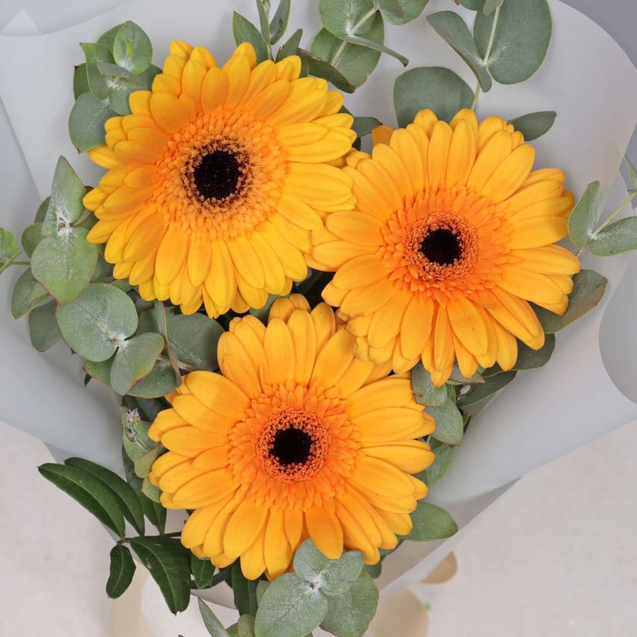 Букет из Гермини и Эвкалипта «Лучик радости»