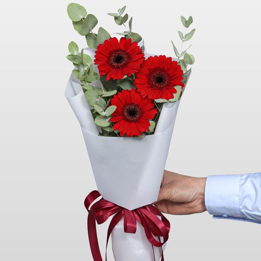 Букет из Гермини и Эвкалипта «Энергия цвета»