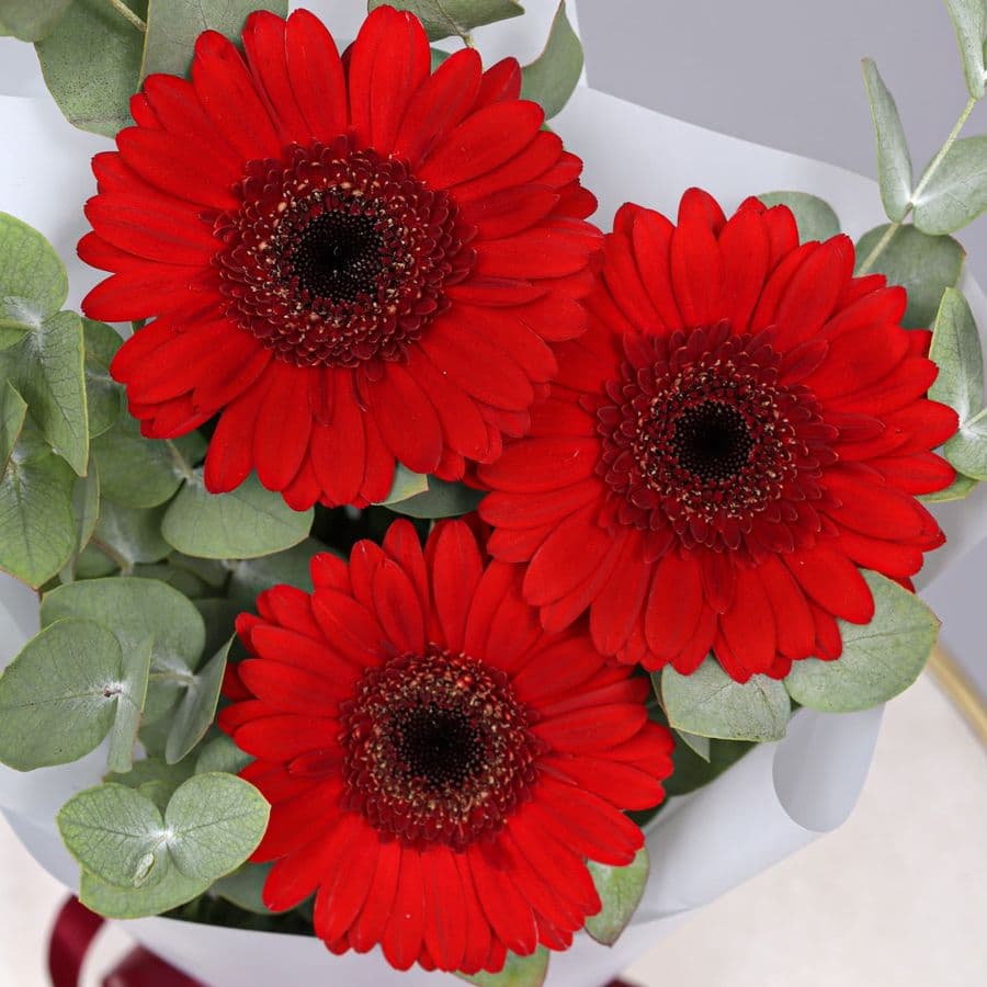 Букет из Гермини и Эвкалипта «Энергия цвета»