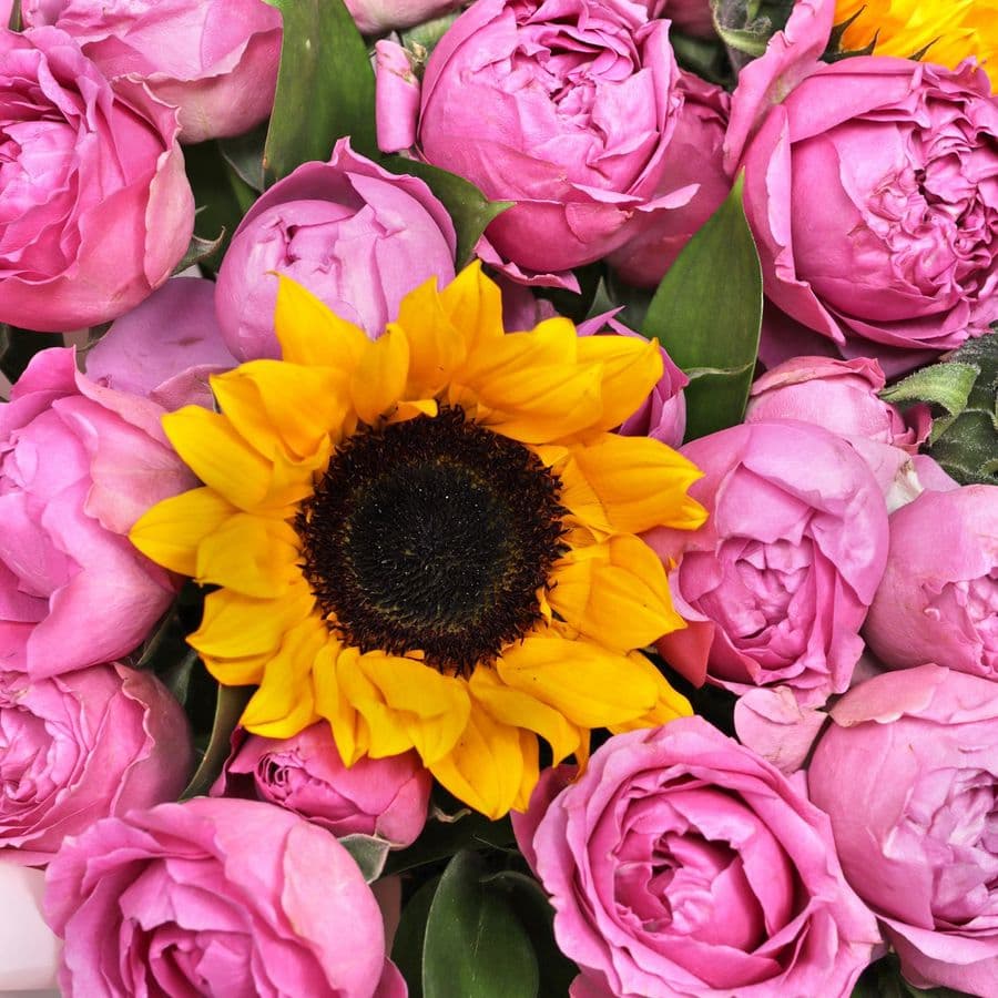 Букет из Кустовых роз и Подсолнухов «Солнечный танец»