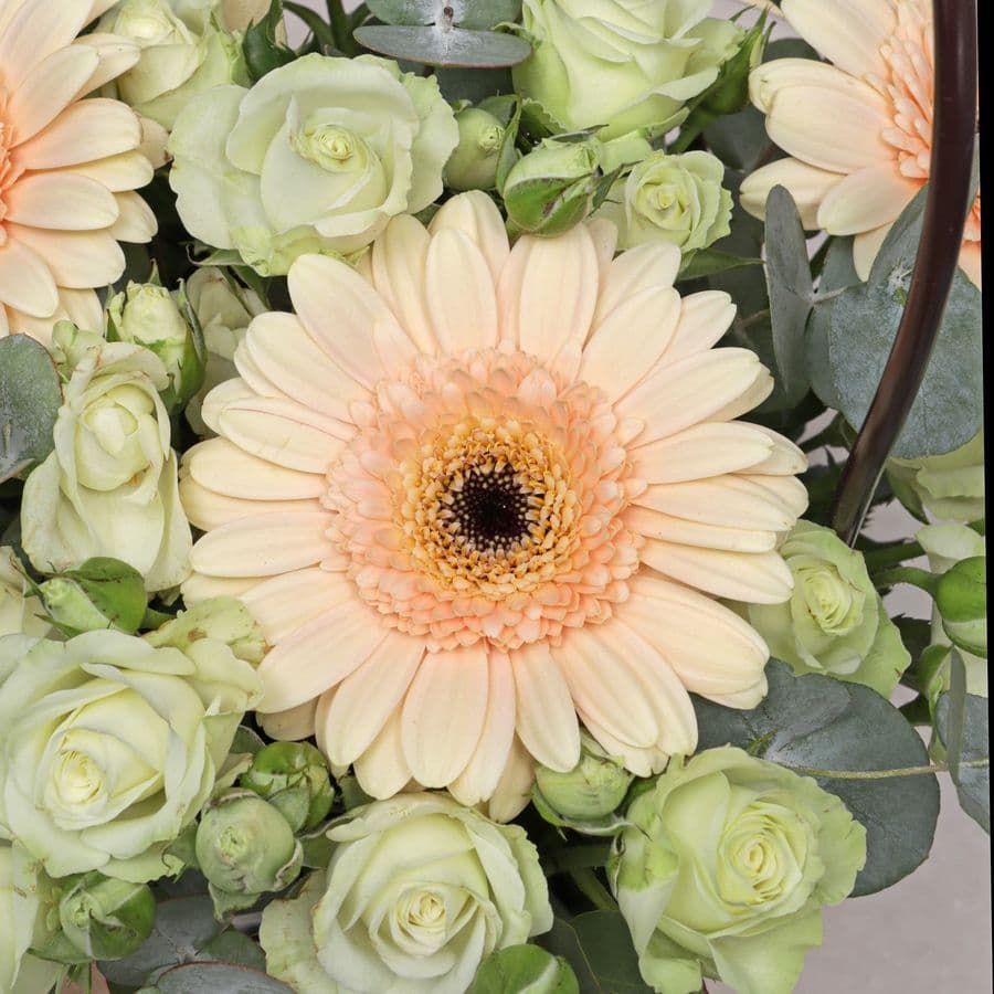 Композиция из Кустовых Роз и Гермини в сумочке «Школьный день»