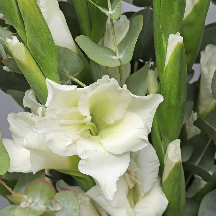 Букет из Гладиолусов и Эвкалипта «Сияние дня»