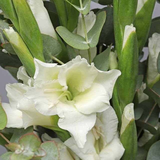 Букет из Гладиолусов и Эвкалипта «Сияние дня»