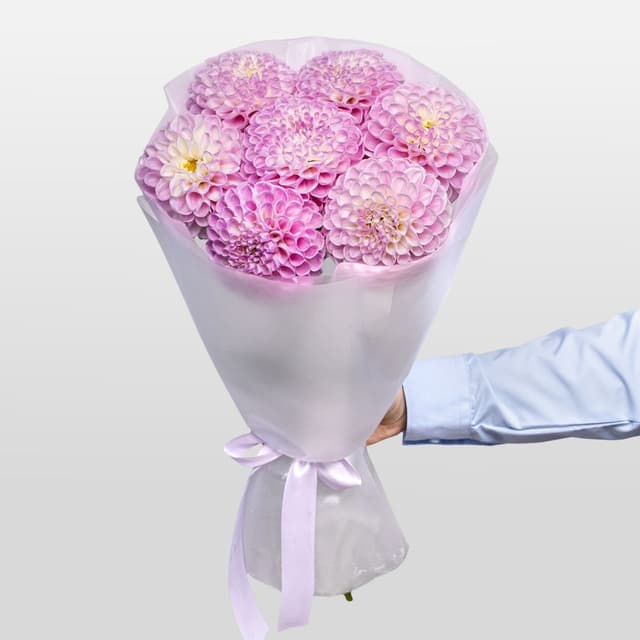 Букет из Георгин «Сладкий румянец»