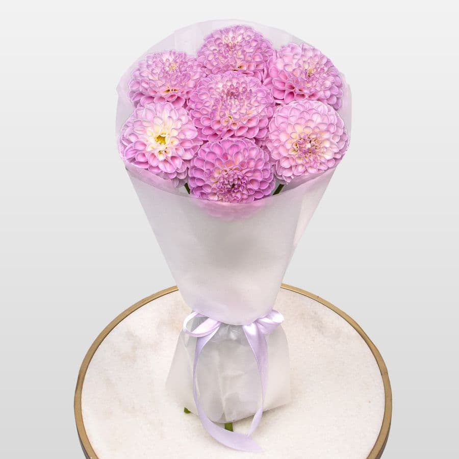 Букет из Георгин «Сладкий румянец»