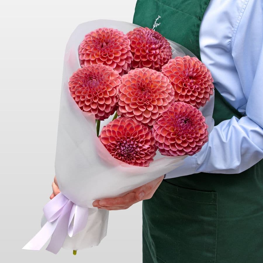 Букет из Георгин «Коралловая Мечта»