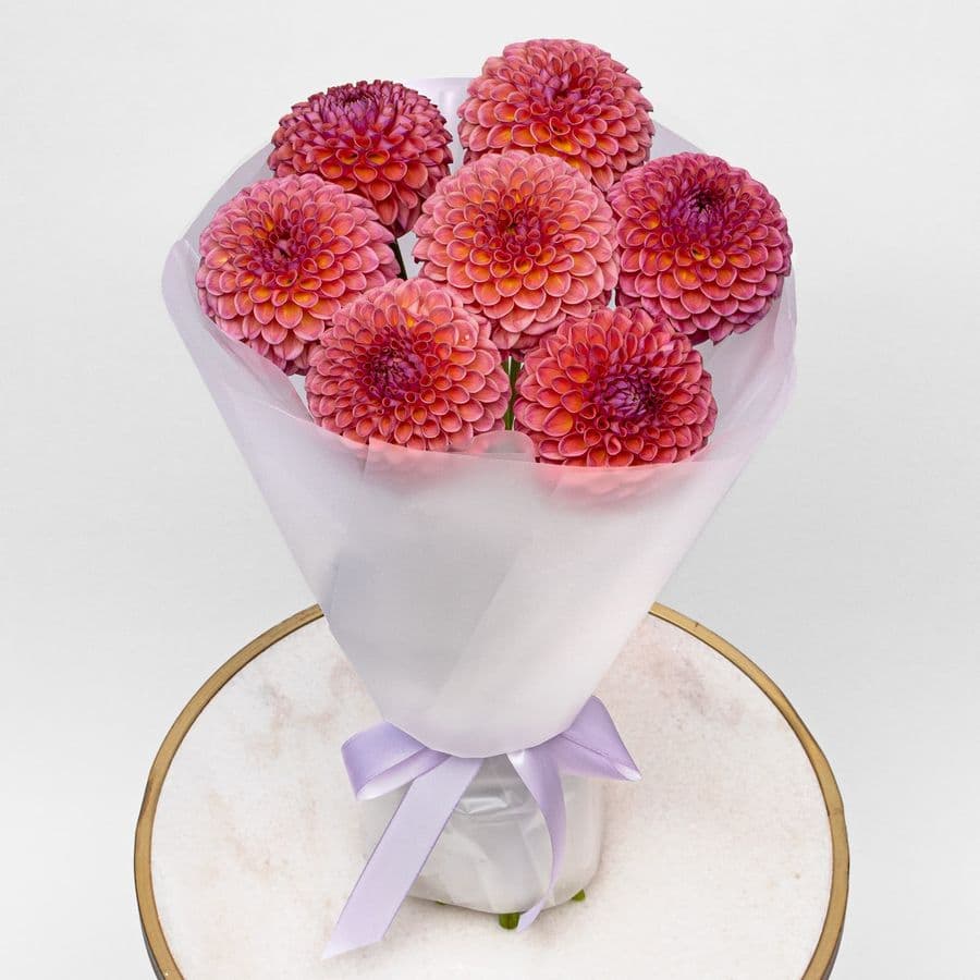 Букет из Георгин «Коралловая Мечта»