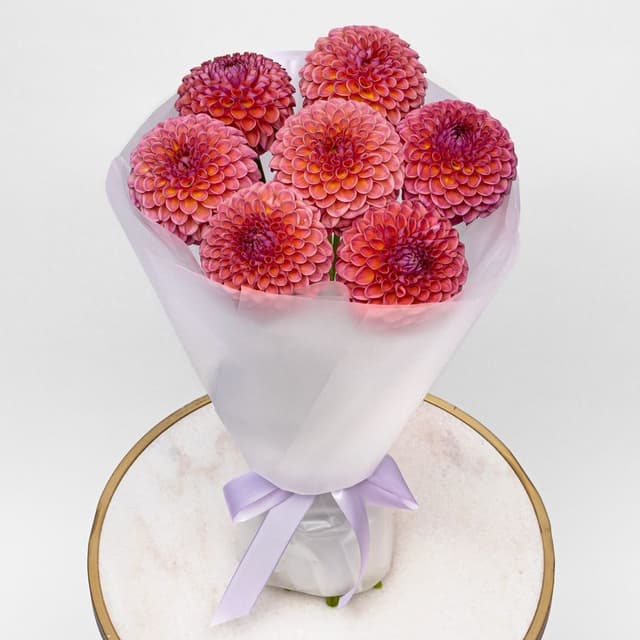 Букет из Георгин «Коралловая Мечта»