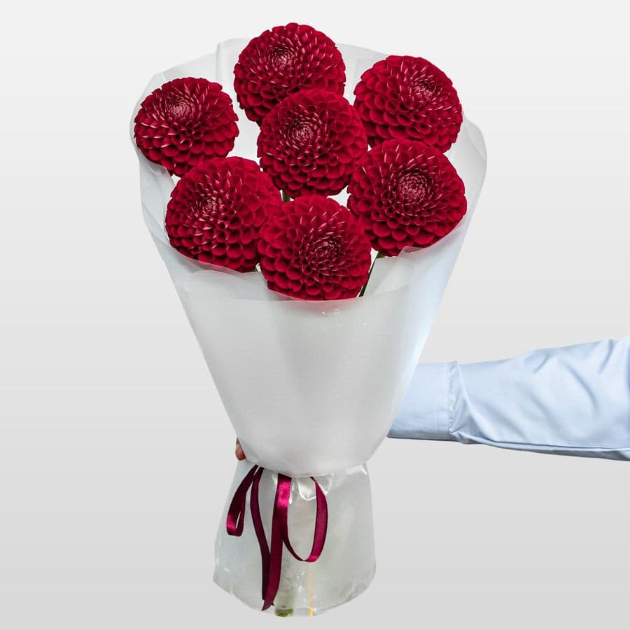 Букет из Георгин «Гранатовая роскошь»