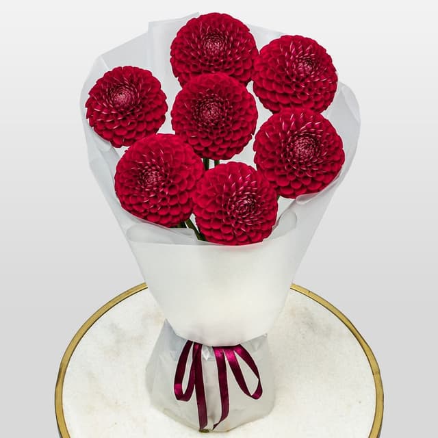 Букет из Георгин «Гранатовая роскошь»