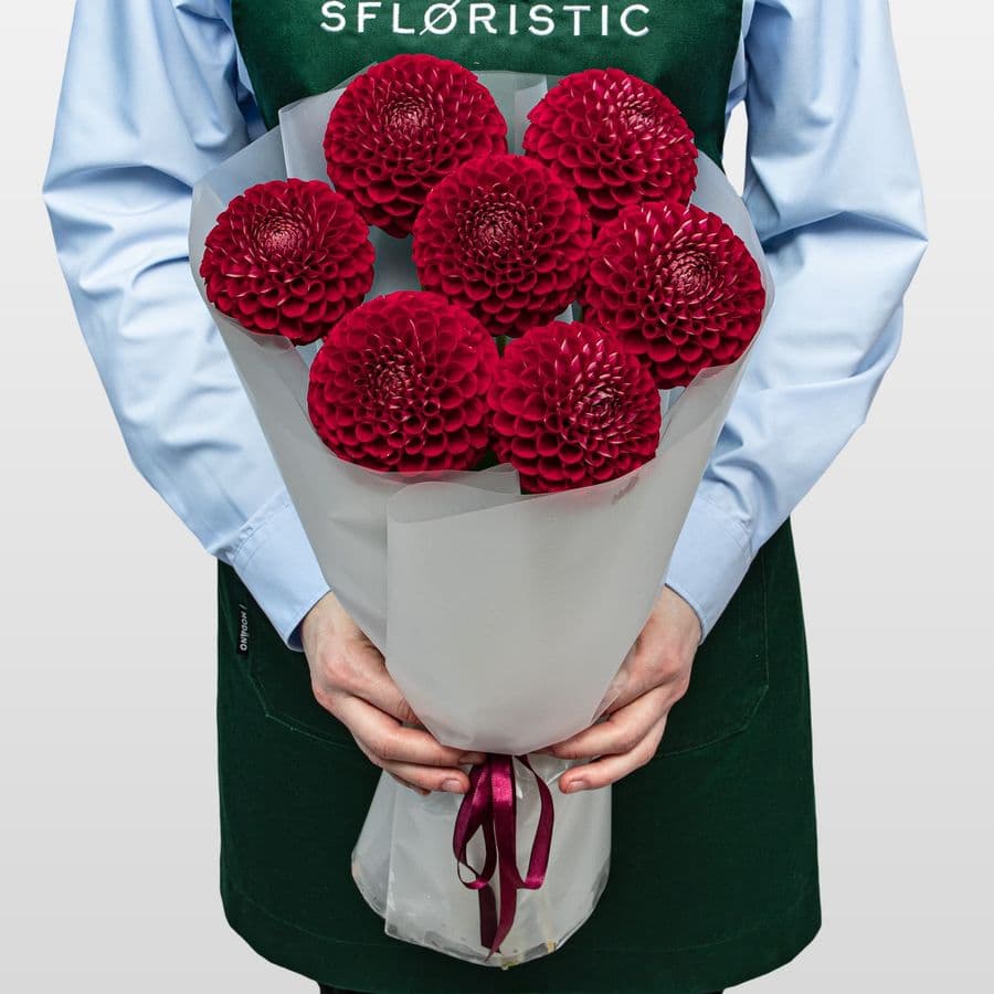 Букет из Георгин «Гранатовая роскошь»