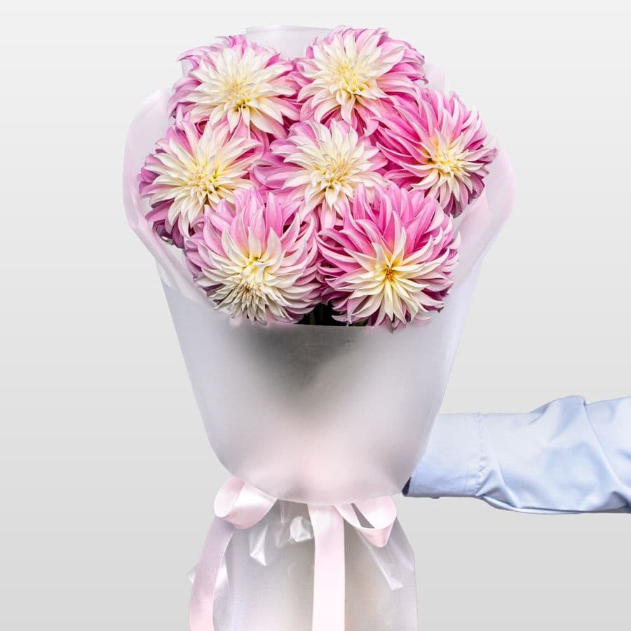 Букет из Георгин «Сахарное Облако»