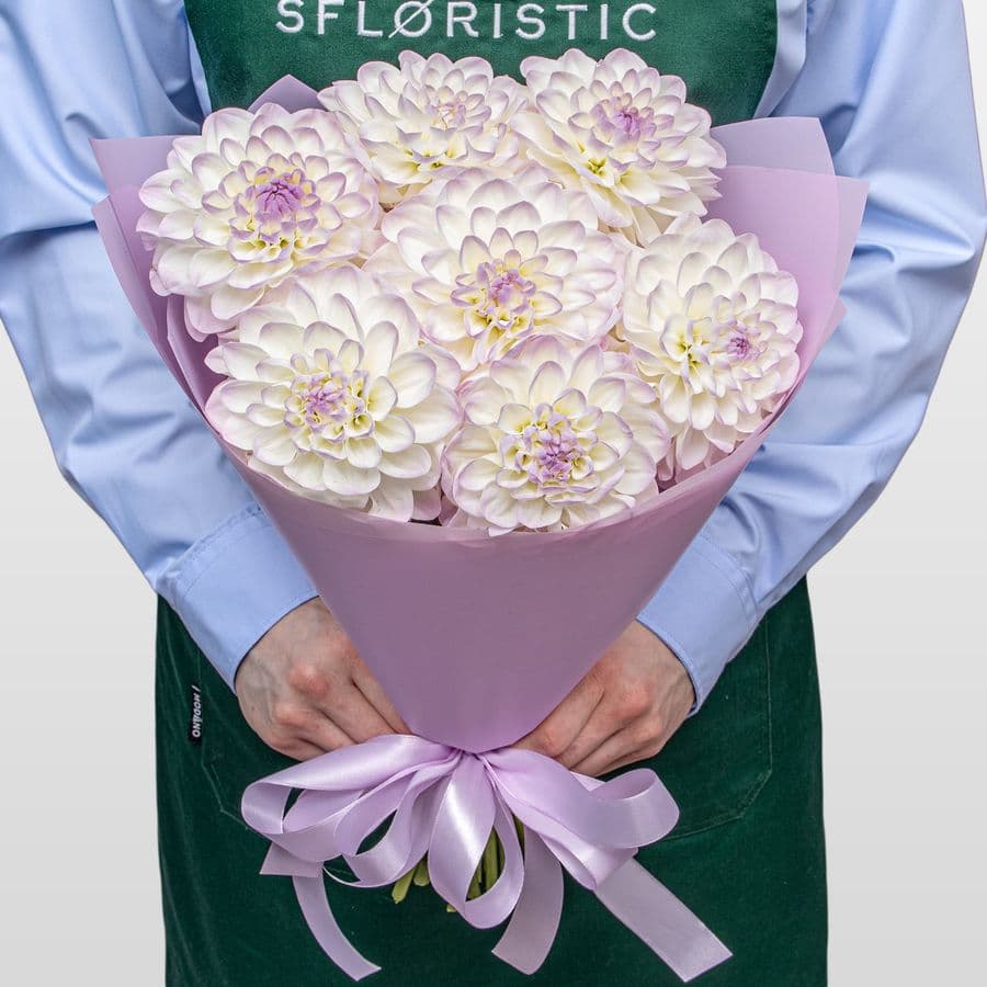 Букет из Георгин «Ангельский Шепот»