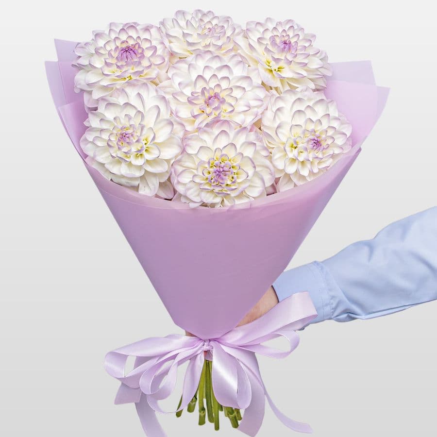 Букет из Георгин «Ангельский Шепот»