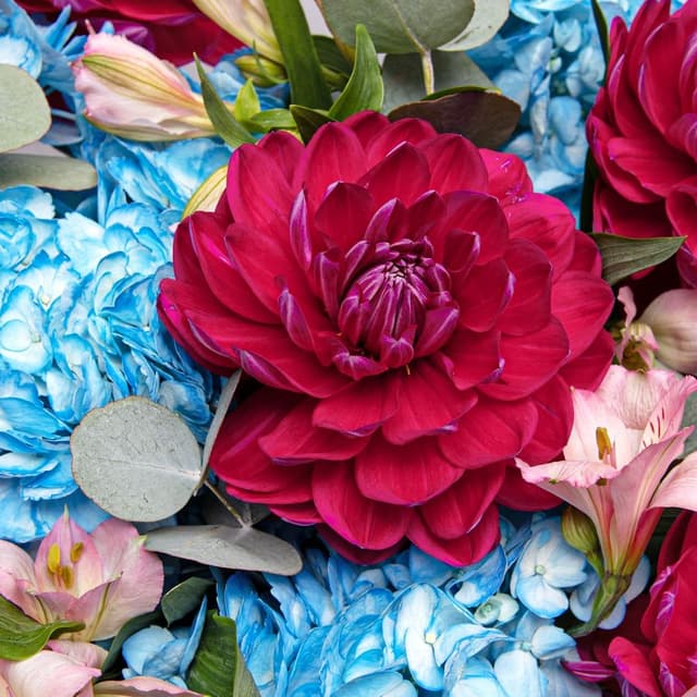 Букет из Георгин, Гортензий и Альстромерий «Полночный Сад»