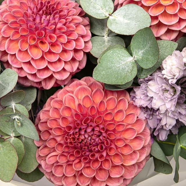 Букет из Георгин и Дельфиниума «Прованский Закат»