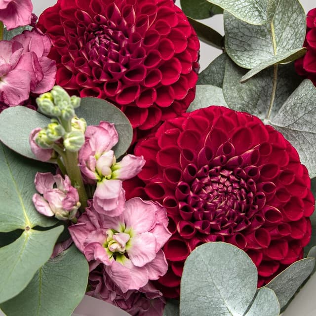 Букет из Георгин и Маттиолы «Вечер в Саду»