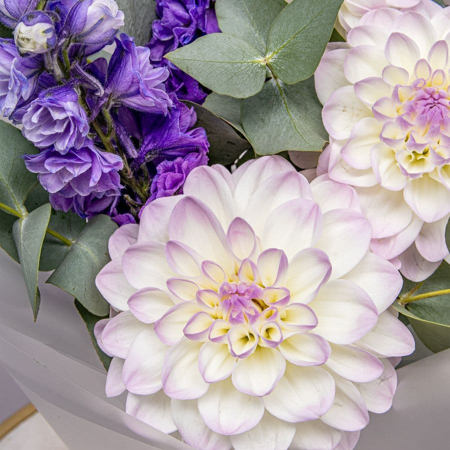 Букет из Георгин и Дельфиниума «Прохлада Утра»