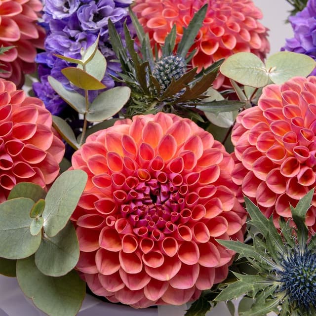 Композиция из Георгин, Дельфиниума и Эрингиума в шляпной коробке «Осенний Вихрь»