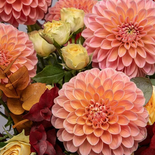 Композиция из Георгин и Кустовых Роз в шляпной коробке «Медовый Сентябрь»