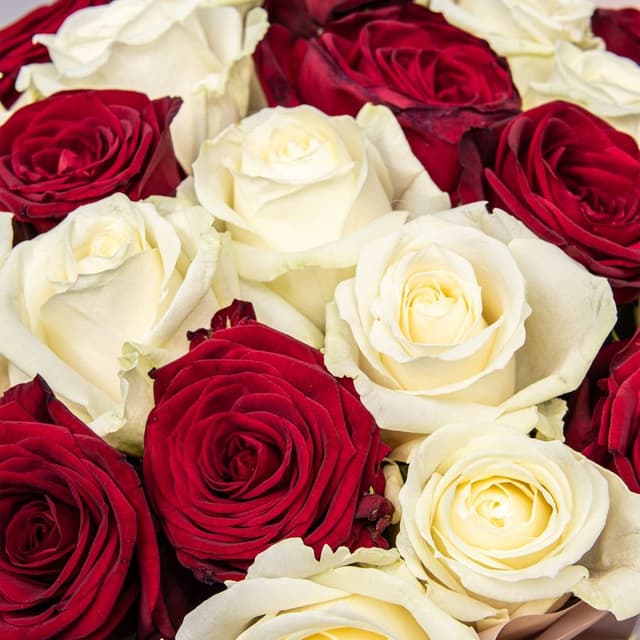 Букет из красных и белых Роз Россия 25 шт «Исповедь Сердца»