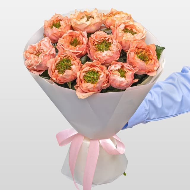 Букет из Пионовидных Роз Питер Парк 11 шт «Нежность Балерины»