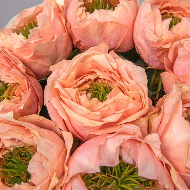 Букет из Пионовидных Роз Питер Парк 9 шт «Улыбка Природы»