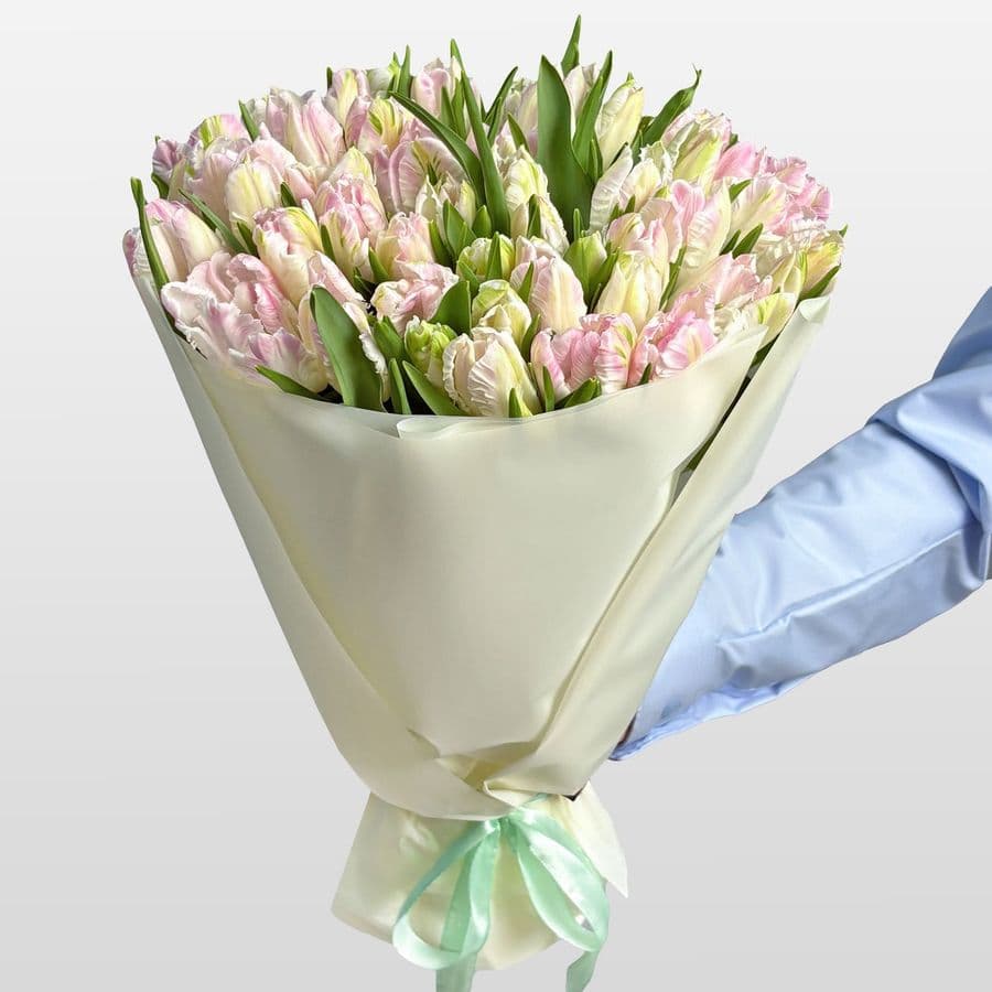 Букет бело-розовых Пионовидных Тюльпанов 51 шт «Сливочный пломбир»