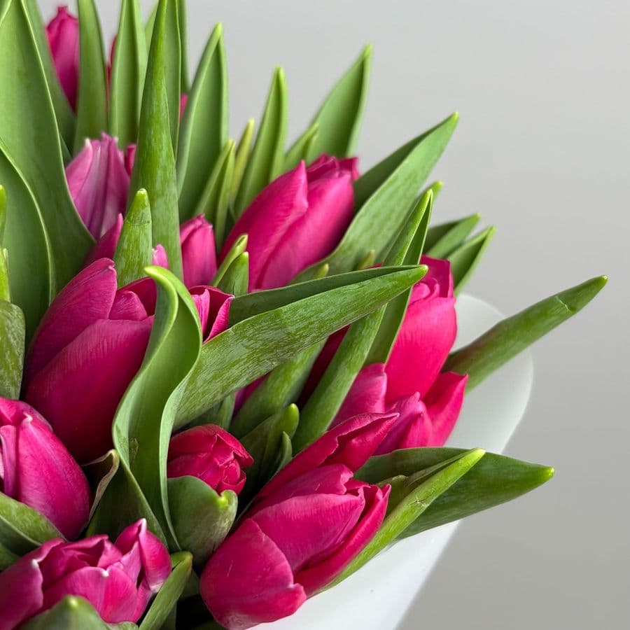 Букет розовых Тюльпанов 25 шт «Изящный Дар»