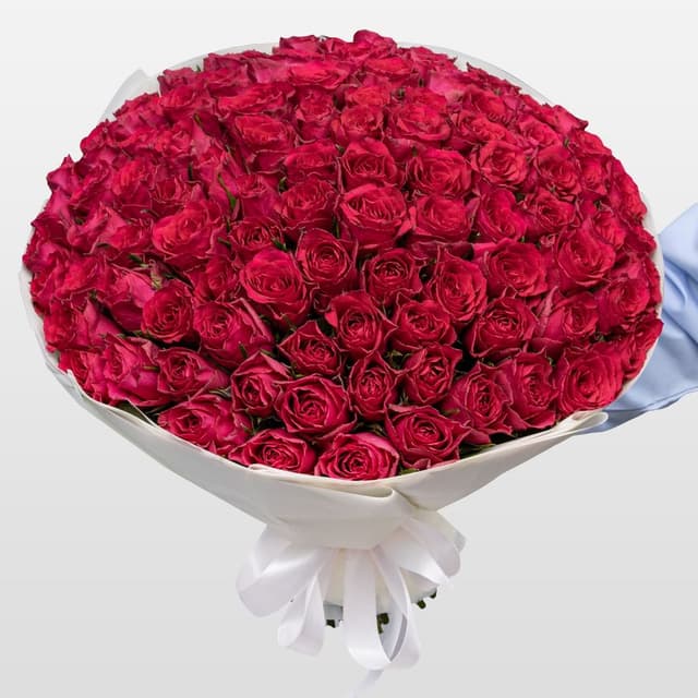 Букет малиновых Роз Кения 40 см 101 шт «Коронация»