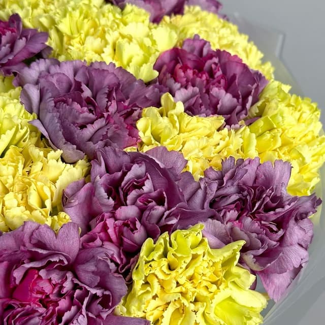 Букет из желтых и фиолетовых Гвоздик 25 шт «Маскарад»