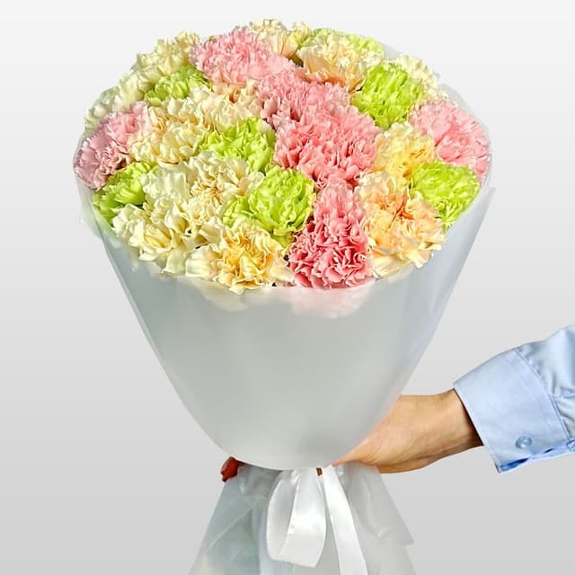 Букет из Гвоздик 25 шт «Фруктовое Драже»