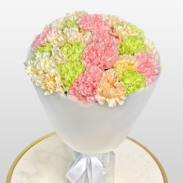 Букет из Гвоздик 25 шт «Фруктовое Драже»