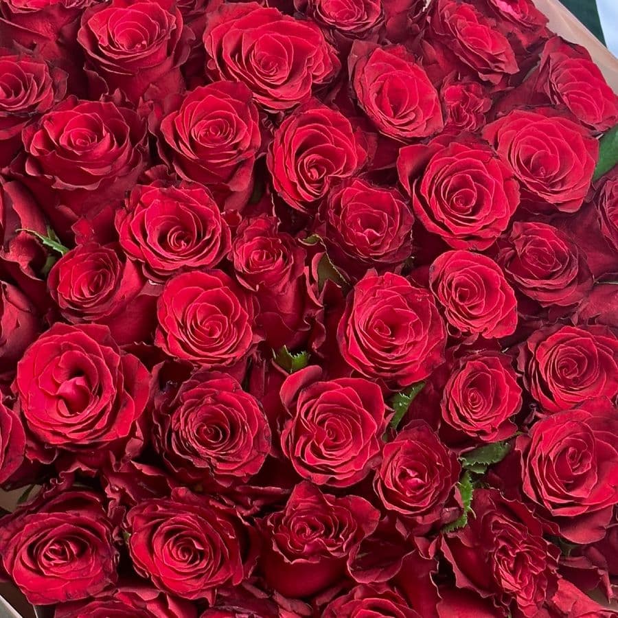 Букет из красных Роз 80 см 51 шт «Только Она»