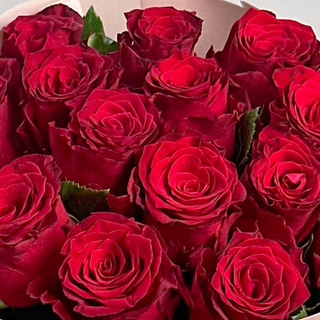 Букет из красных Роз 80 см 15 шт «Тихий Восторг»