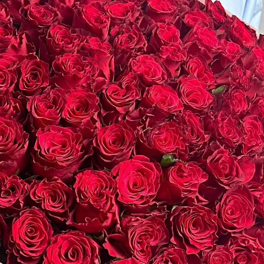Букет из красных Роз 80 см 101 шт «Просто Люблю»