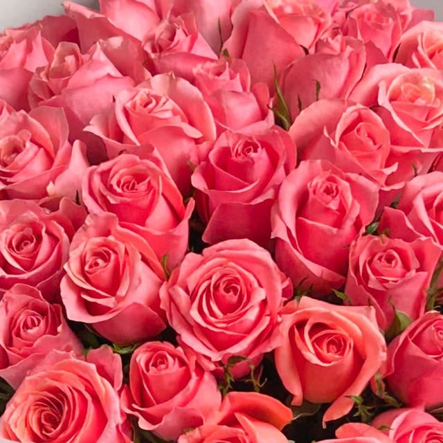 Букет из розовых Роз Кения 60 см 51 шт «Восторг без Слов»