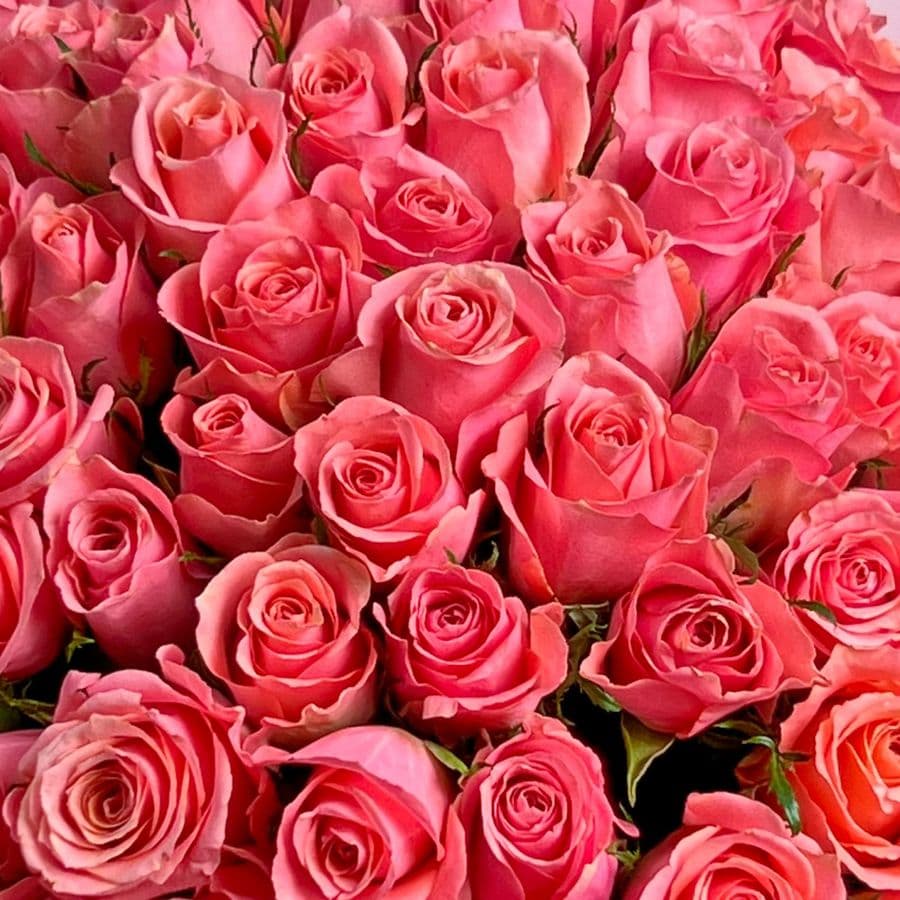 Букет из розовых Роз Кения 60 см 101 шт «Слияние Сердец»