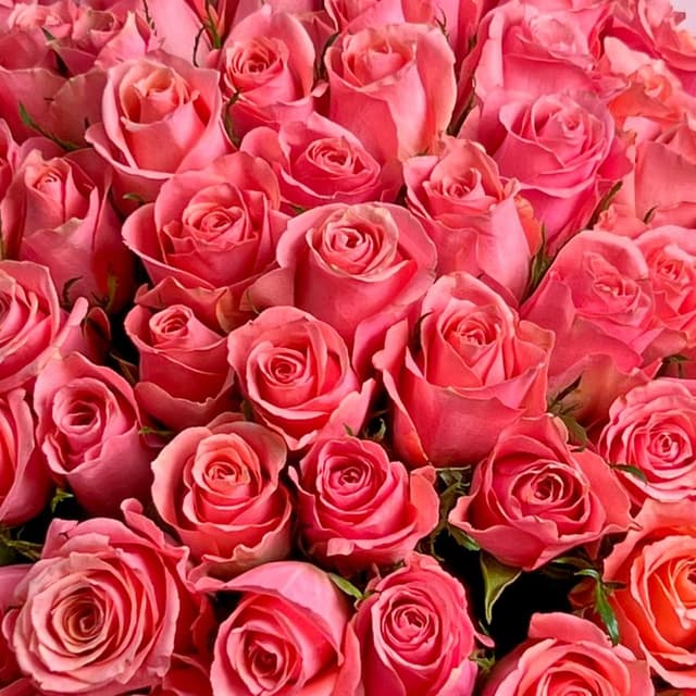 Букет из розовых Роз Кения 60 см 101 шт «Слияние Сердец»