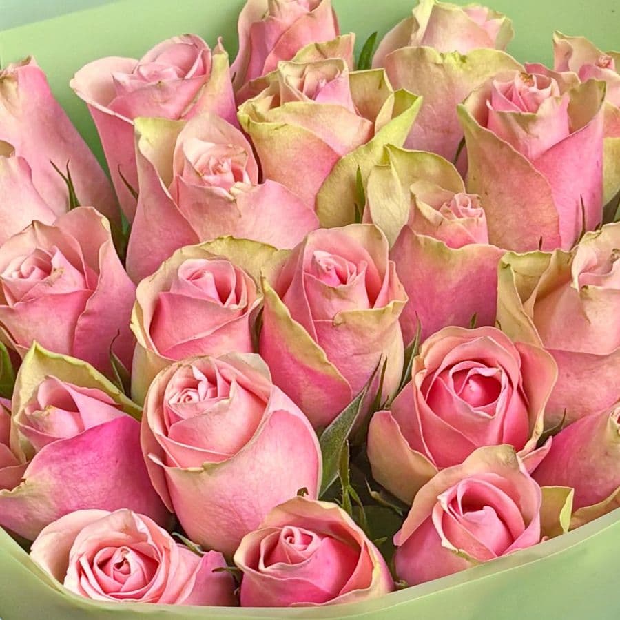 Букет из розовых Роз Кения 40 см 25 шт «Мелодия Сердца»