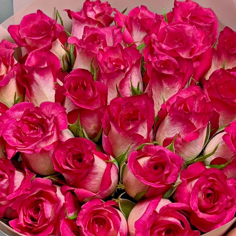 Букет из розовых Роз Кения 40 см 25 шт «Пламя Страсти»