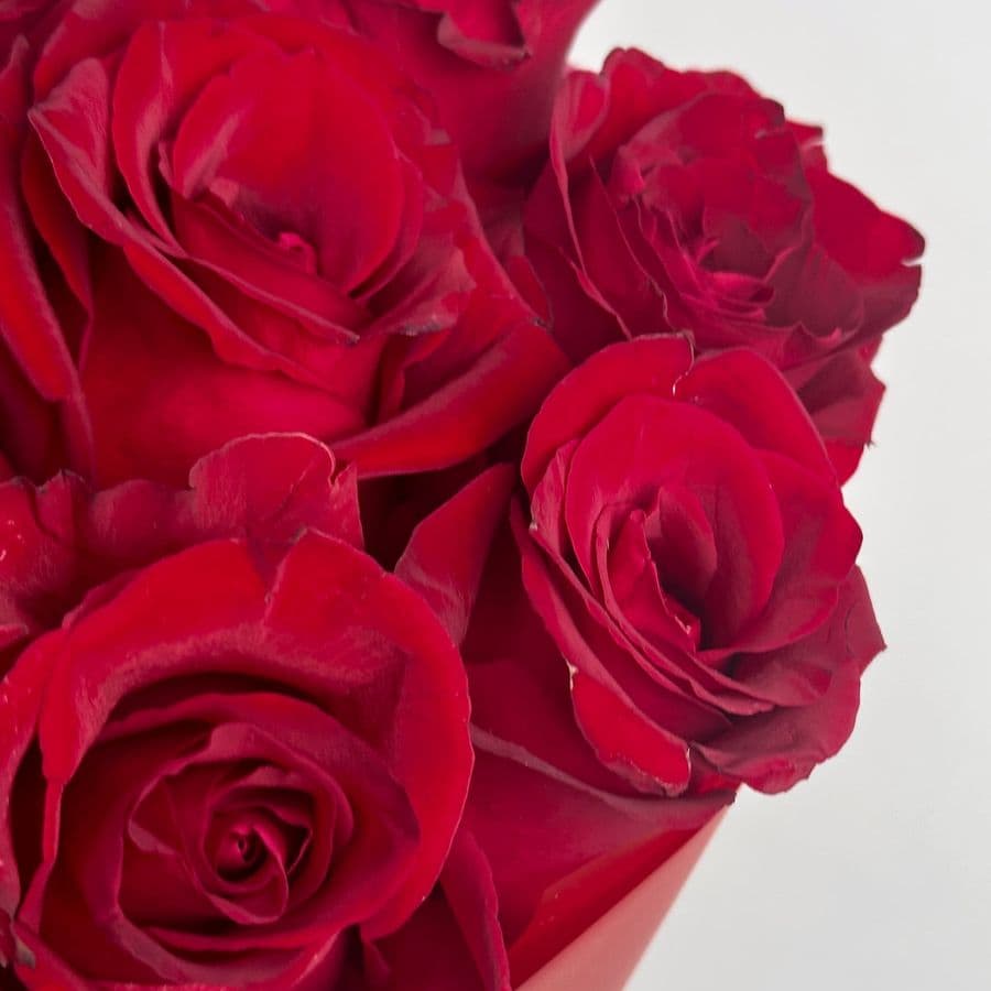 Букет из красных Роз Кения 60 см 21 шт «Искушение»
