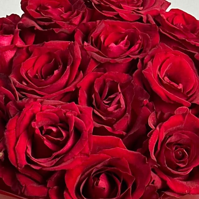 Букет из красных Роз Кения 60 см 15 шт «Аромат Желаний»