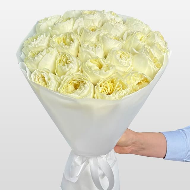 Букет из Пионовидных Роз Кения 25 шт «Панна Котта»